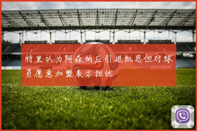 特里认为阿森纳应引进凯恩但对球员愿意加盟表示担忧